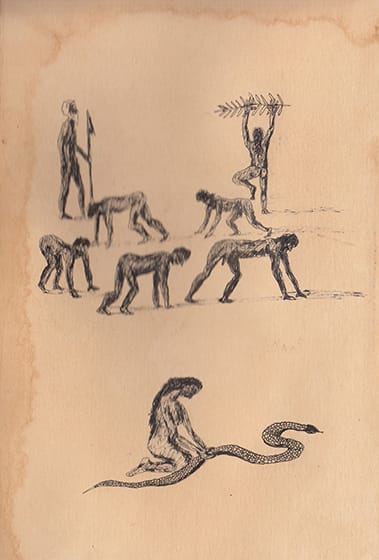 Drawing Study of Orang Runcuk (Excerpted from Stern’s Manuscript & Journal)