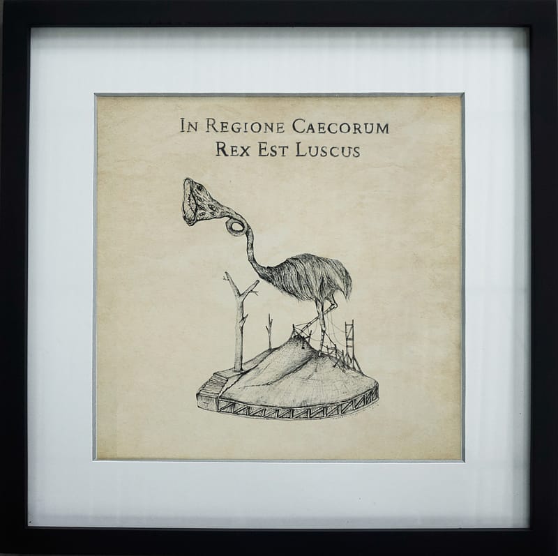 Fig. 4. In Regione Caecorum Rex Est Luscus (in the land of the blind, the one-eyed man is king)